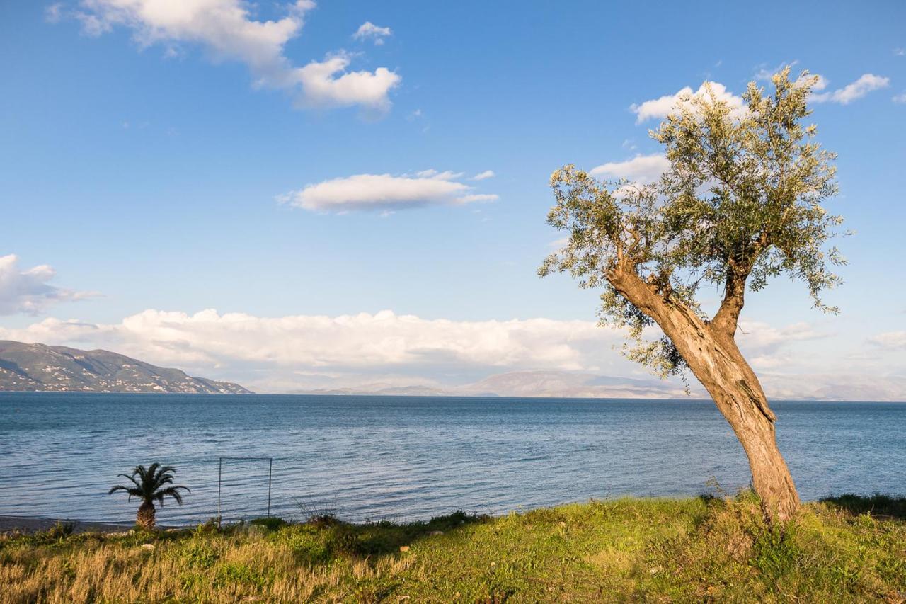 Merlyn Rooms Into The Nature, 100M From The Beach Dafnila 외부 사진